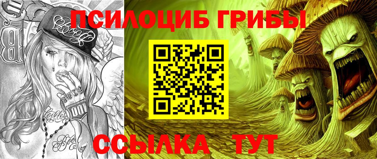 где можно купить   Галлюциногенные грибы мицелий  Вход с VPN  Кашира 